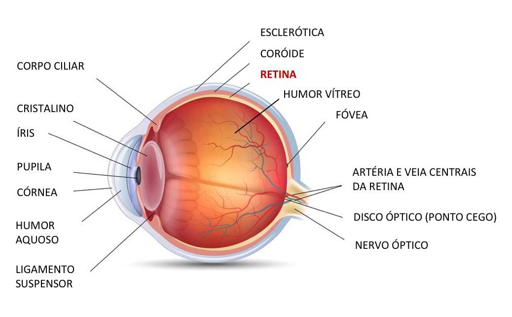 Nossas Especialidades Santti Oftalmologia Em Bh 1742